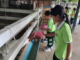 โรงเรียนสาธิตบางนา 06 ตุลาคม 2569