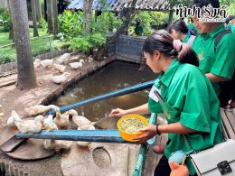 โรงเรียนสามัคคีราษฎร์บำรุง 17 กันยายน 2569