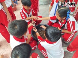 โรงเรียนอัสสัมชัญ ศรีราชา วันที่ 14 กรกฎาคม 2569