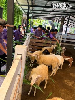 โรงเรียนเกาะโพธิ์ถ้วยงามวิทยา 10 กรกฎาคม 2569