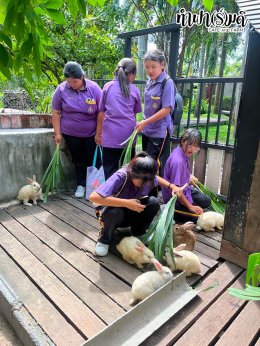 โรงเรียนเกาะโพธิ์ถ้วยงามวิทยา 10 กรกฎาคม 2569