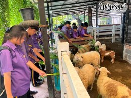 โรงเรียนเกาะโพธิ์ถ้วยงามวิทยา 10 กรกฎาคม 2569