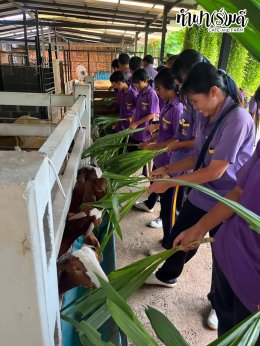โรงเรียนเกาะโพธิ์ถ้วยงามวิทยา 10 กรกฎาคม 2569