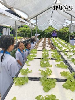 โรงเรียนเซนต์โยเซฟ ระยอง 4 สิงหาคม 2569
