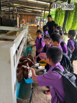 โรงเรียนเทศบาลบ้านศรีมหาราชา 03 กรกฎาคม 2569