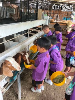 โรงเรียนเทศบาลบ้านศรีมหาราชา 5 สิงหาคม 2569