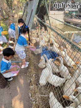 โรงเรียนเมรี่อิมาคุเลตคอนแวนต์ 31 มกราคม 2569