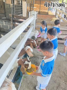 โรงเรียนเมรี่อิมาคุเลตคอนแวนต์ 31 มกราคม 2569