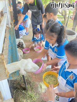 โรงเรียนเมรี่อิมาคุเลตคอนแวนต์ 31 มกราคม 2569