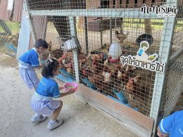 โรงเรียนเมรี่อิมาคุเลตคอนแวนต์ 31 มกราคม 2569