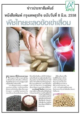 ข่าว พืชไทยชะลอเข่าเสื่อม หน้า 1 bimsabuy APCO