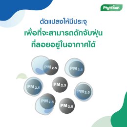 ที่มา