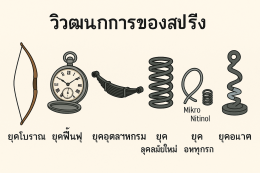 วิวัฒนาการของสปริงในแต่ละยุค