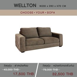 Choose Your Sofa