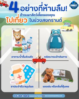 4 อย่างที่ห้ามลืม ถ้าจะพาสัตว์เลี้ยงของคุณไปเที่ยวในช่วงสงกรานต์