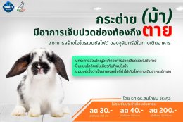 กระต่าย (ม้า) มีอาการเจ็บปวดช่องท้องถึงตายจากการสร้างไฮโดรเจนซัลไฟด์ของจุลินทรีย์ในทางเดินอาหาร!
