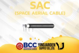 สาย SAC Bangkok Cable บางกอกเคเบิ้ล