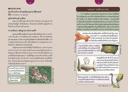 เมืองโบราณในประเทศไทย
