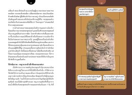 อ่านภาพสลัก พุทธประวัติ-ชาดก ใบเสมาทวารวดีอีสาน
