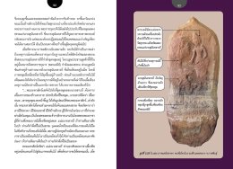 อ่านภาพสลัก พุทธประวัติ-ชาดก ใบเสมาทวารวดีอีสาน