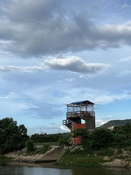 Thung Nam Noi: A Close Encounter with the "Pink Buffaloes" of Hat Yai