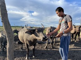 Thung Nam Noi: A Close Encounter with the "Pink Buffaloes" of Hat Yai