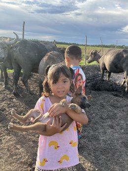 Thung Nam Noi: A Close Encounter with the "Pink Buffaloes" of Hat Yai