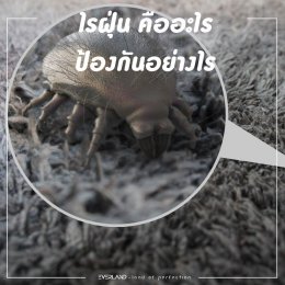 ไรฝุ่น (house dust mite)  คืออะไร และสามารถป้องกันได้เช่นไร
