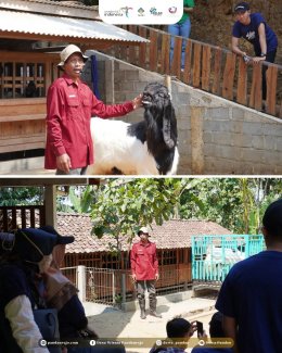 Pelatihan Kuliner Olahan Susu Kambing Kaligesing