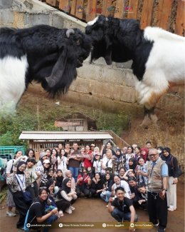 Belajar Asik Bareng Desa Wisata Pandanrejo !