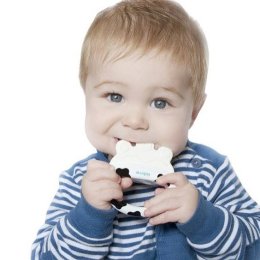 Kidsme ยางกัดพร้อมที่ทำไอติม รุ่น Icy Moo Moo Soother