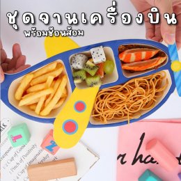 จานอาหารเครื่องบิน
