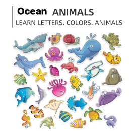 Floating animal โฟมลายการ์ตูน 
