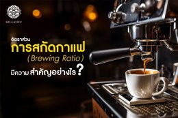 อัตราส่วนการสกัดกาแฟ (Brewing Ratio) มีความสำคัญอย่างไร??