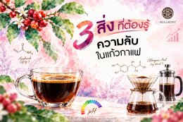 3 เรื่องจริงสุดเซอร์ไพรส์ จากแก้วกาแฟที่ต้องรู้