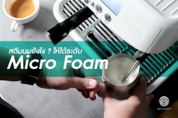 สตีมนมยังไง ให้ได้ระดับ Micro Foam? | How to steam milk to make Micro Foam?