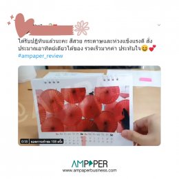 #ampaper_review