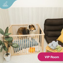 pet hotel ฝากเลี้ยง VIP