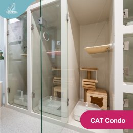 ฝากเลี้ยงแมว Pet Hotel cat 
