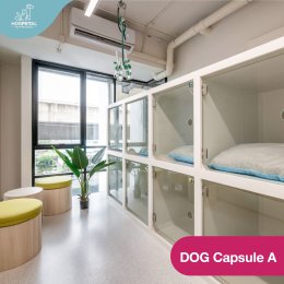 ฝากเลี้ยงสุนัข Pet Hotel