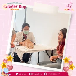 ภาพกิจกรรม Caster Day 2023 | 3 ธันวาคม 2566