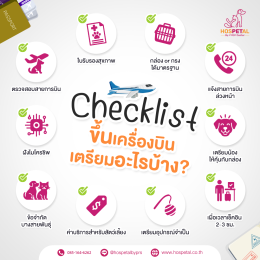 พาหมาแมวขึ้นเครื่อง