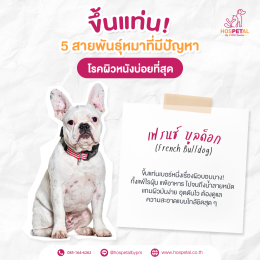 เฟรนช์-โรคผิวหนัง