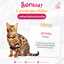 เบงกอล-โรคผิวหนัง