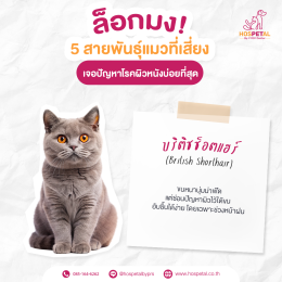 บริติช-โรคผิวหนัง