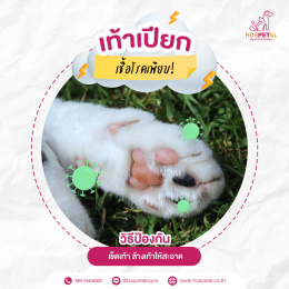 เท้าน้องเปียกต้องเช็ดให้แห้ง