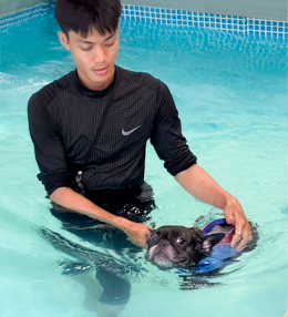 Pet Swimming Pool - สระว่ายน้ำสำหรับสัตว์เลี้ยง