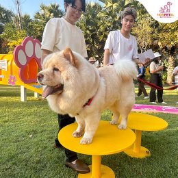 ภาพกิจกรรม Major Dog Day 2023 | 16 ธันวาคม 2566