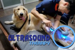 Ultrasound Therapy