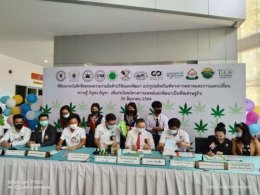 UMT University is embarking on cannabis research